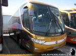 Marcopolo Paradiso G7 1050 / Scania / Pullman Sur