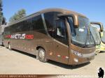 Comil Campione Invictus 1050 / Scania K360 / Unidad de Stock