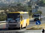 Caio Foz / Mercedes Benz LO-916 / Unidades Transantiago