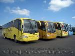 Irizar Century / Mercedes Benz O-500RS / Bio Bio