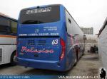 Golden Dragon / Buses Palacios