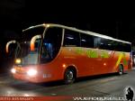 Marcopolo Paradiso 1200 / Volvo B9R / Salon Villa Prat