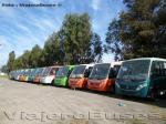 Comil Pia / Mercedes Benz LO-915 - Volkswagen 9-150 / Unidades de Stock