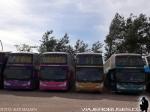 Modasa New Zeus II / Volvo B420R / Thaebus