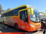 Mascarello Roma MD / Mercedes Benz OF-1724 / Thaebus