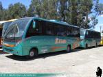 Neobus Thunder + / Mercedes Benz LO-916 / Buses El Mañio