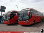 Mascarello Roma 370 / Volvo B420R / Pullman Bus