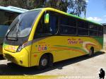 Neobus Thunder+ / Mercedes Benz LO-916 / Terma Tur