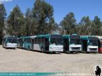 Caio Mondego / Mercedes Benz O-500U / Metbus