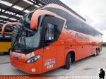 Mascarello Roma 370 / Mercedes Benz O-500RSD / Pullman Austral