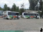 Neobus Thunder+ / Mercedes Benz LO-916 / Flota Talagante