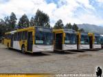 Unidades Caio Mondego H / Mercedes Benz O-500U / STP Santiago