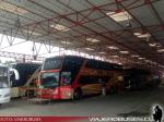 Modasa New Zeus II / Volvo B420R / Pullman Carmelita