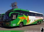 Mascarello Roma 370 / Volvo B420R / Pullman JR