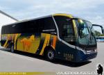 Neobus New Road N10 340 / Mercedes Benz OF-1724 / Kemel Bus