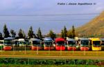 Unidades Irizar / Brasil Buses