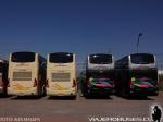 Modasa New Zeus II / Volvo B420 / Pullman Bus