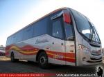 Mascarello Roma 310 / Mercedes Benz OF-1722 / Asec Buses