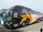 Mascarello Roma 370 / Volvo B420R / Pullman JR