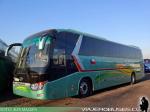 King Long XMQ6130Y / Buses Jeldres