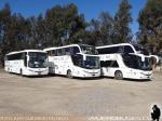 Modelos Comil Campione 3.45 - 4.05HD y DD / Caravana Volvo