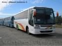 Busscar El Buss 340 / Mercedes Benz OF-1722 / Unidad Stock