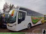 Mascarello Roma 350 / Mercedes Benz O-500RS / Buses German