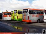 IRIZAR I6S 3.90 / MERCEDES BENZ O-500RS / BIO BIO