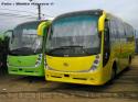 Zonda Bus YCK6939H / Unidad Stock