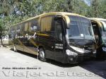 Irizar Century / Scania K310 / Linea Azul