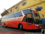 King Long XMQ6130Y / Pullman Bus