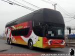 Youngman JPN6137SE / Pullman Los Libertadores