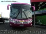 Marcopolo Viaggio 1050 G7 / Mercedes Benz O-500R / Thaebus