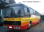 Nielson Diplomata 200 / Scania BR116 / Tur-Bus