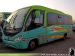 Mascarello Gran Micro / Mercedes Benz LO-915 / Cormar Bus