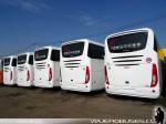 Unidades Irizar I6 3.90 / Mercedes Benz OC-500RF 6x2 / Tandem