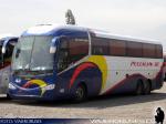 Irizar I6 / Volvo B420R / Pullman JR