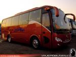 King Long XMQ6900Y / Jota Bus