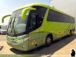 Marcopolo Viaggio G7 1050 / Scania - Mercedes Benz / Unidades de Stock