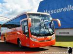 Mascarello Roma 350 / Mercedes Benz O-500RS / Pullman Bus