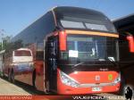 Zhong Tong Navigator LCK6137H / Palmira