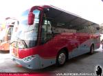 Golden Dragon / Buses Palacios