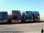 Flota de Buses Pullman Bus