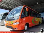 Marcopolo Senior / Mercedes Benz LO-916 / Ruta Sur