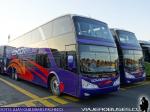 Modasa New Zeus II / Mercedes Benz O-500RSD / Condor Bus