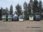 Unidades Nuevas que ingresan al País