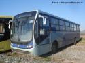 Busscar Urbanuss Pluss / Mercedes Benz OF-1722 / Concepción Metropolitano