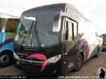 Mascarello Roma MD / Volvo B270F / Pullman JR