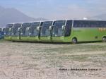 Busscar Jum Buss 380 / Mercedes Benz O-500RS / Tur-Bus