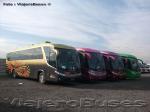 Marcopolo Viaggio 1050 G7  / Mercedes Benz O-500RS / Unidades de Stock